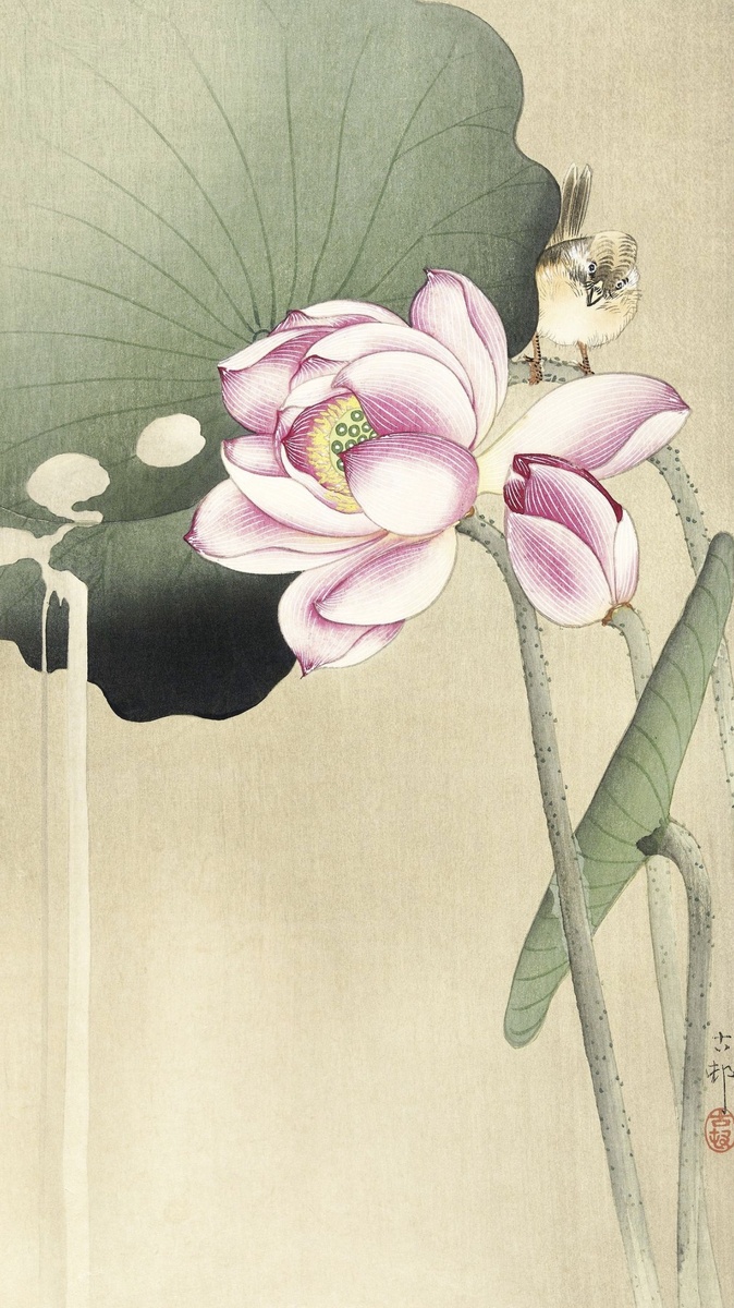 "Певчая птица и лотос", Охара Косон