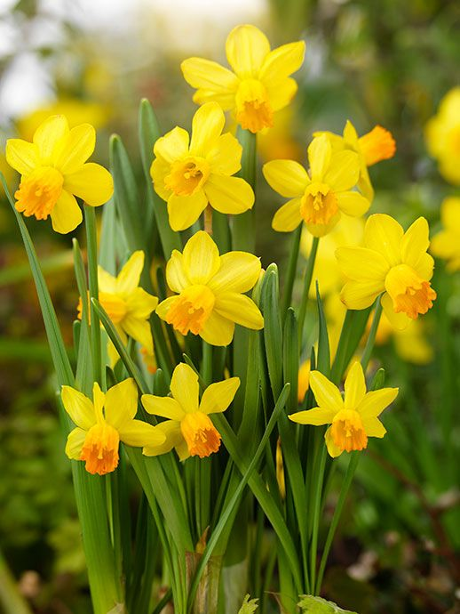 Источник: Pinterest