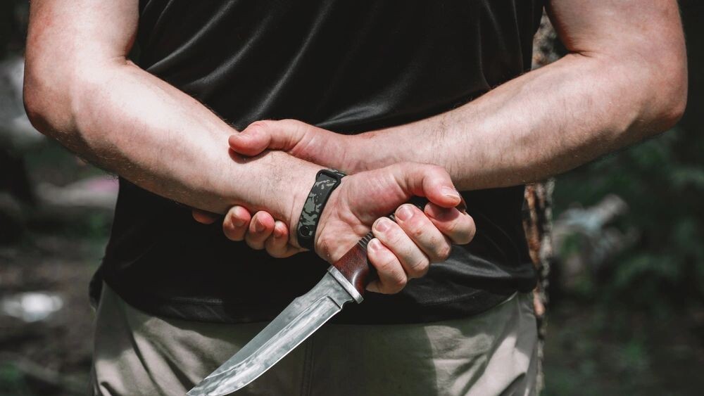    Фото: Afanasiev Andrii/Shutterstock/Fotodom