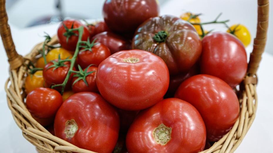    Сергей Булкин/NEWS.ru