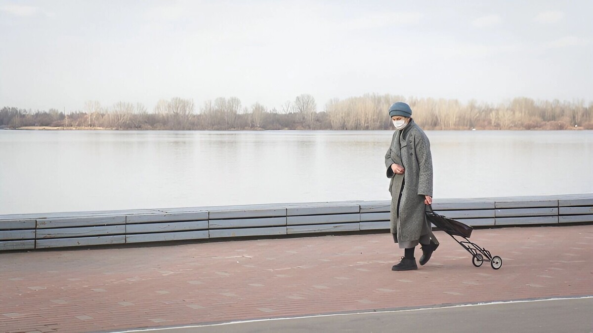     Источник: 1MI