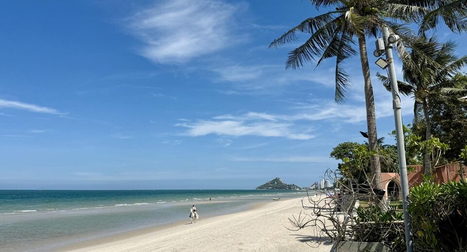    Carola Frentzen/dpa / www.globallookpress.com