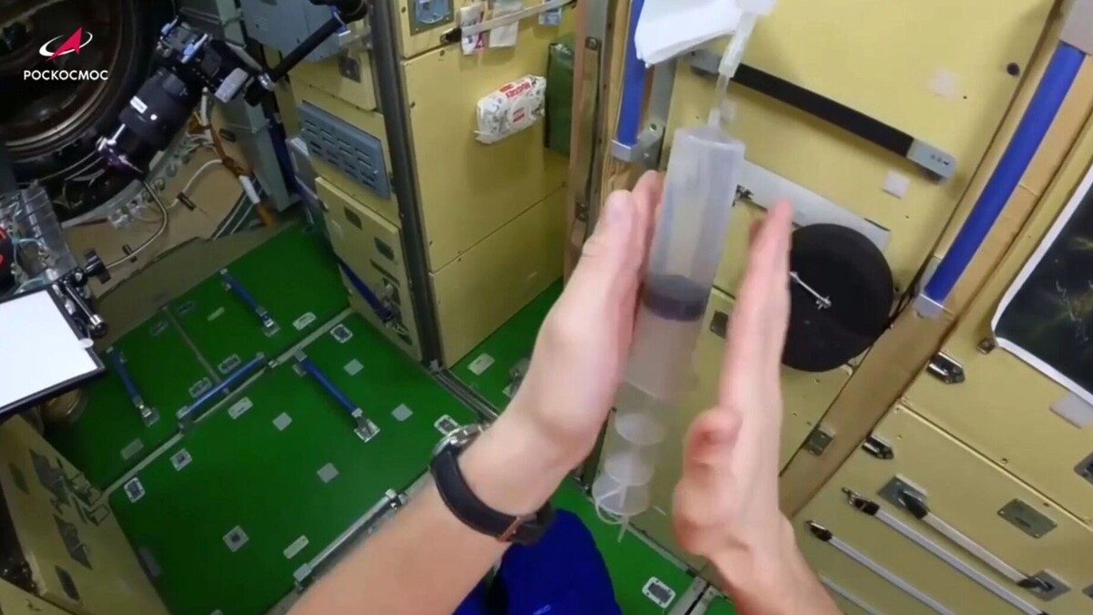     Источник: t.me/FL13300