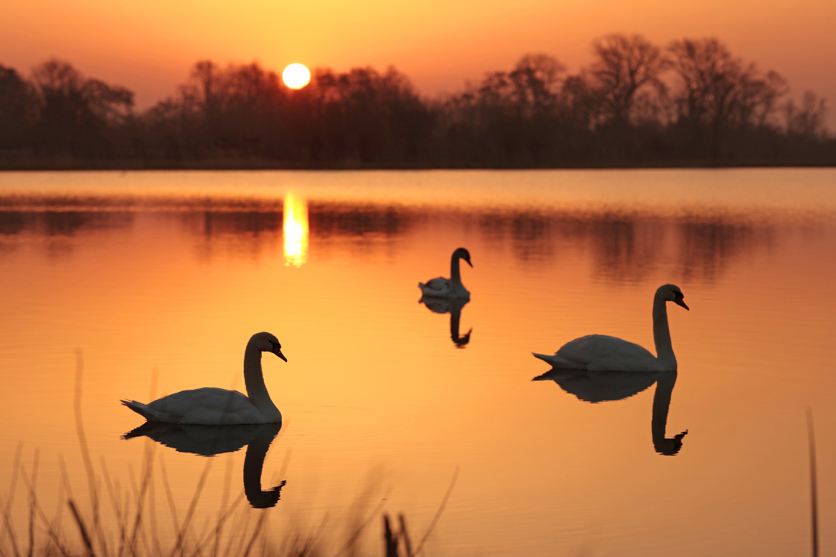 фото: Matthias Bein/dpa/Global Look Press