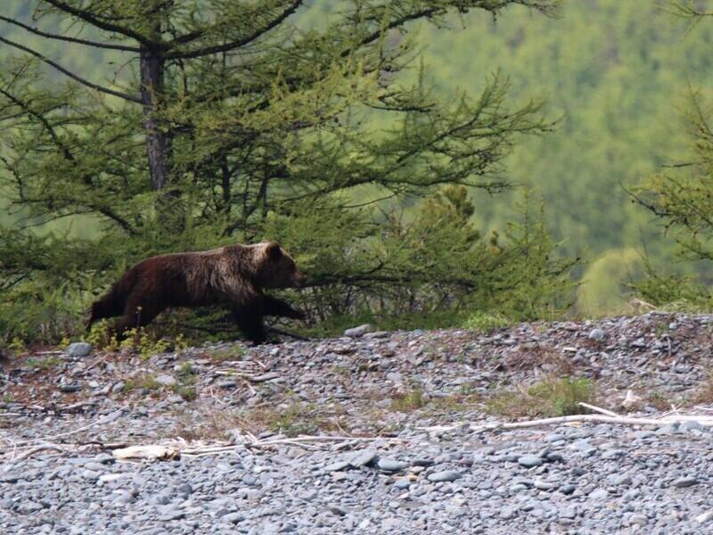 © Фото: Валерий Митин