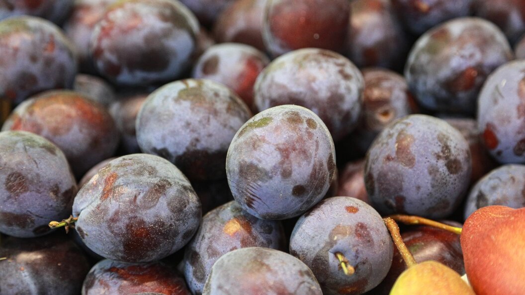    Фото: Bulkin Sergey/news.ru/Globallookpress