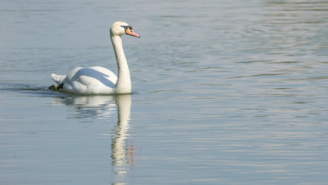    Фото: Shatokhina Natalia/Globallookpress