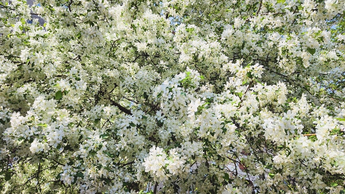     Источник: 1MI