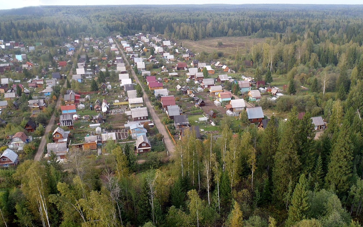    Дачи / Источник: (cc) Александр Тарханов