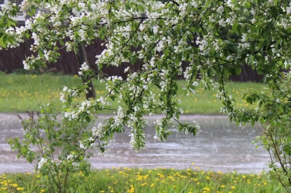    В Башкирии до конца рабочей недели ожидаются осадки