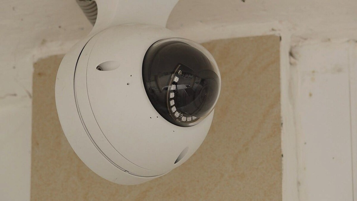    Фото: телеканал «Краснодар»