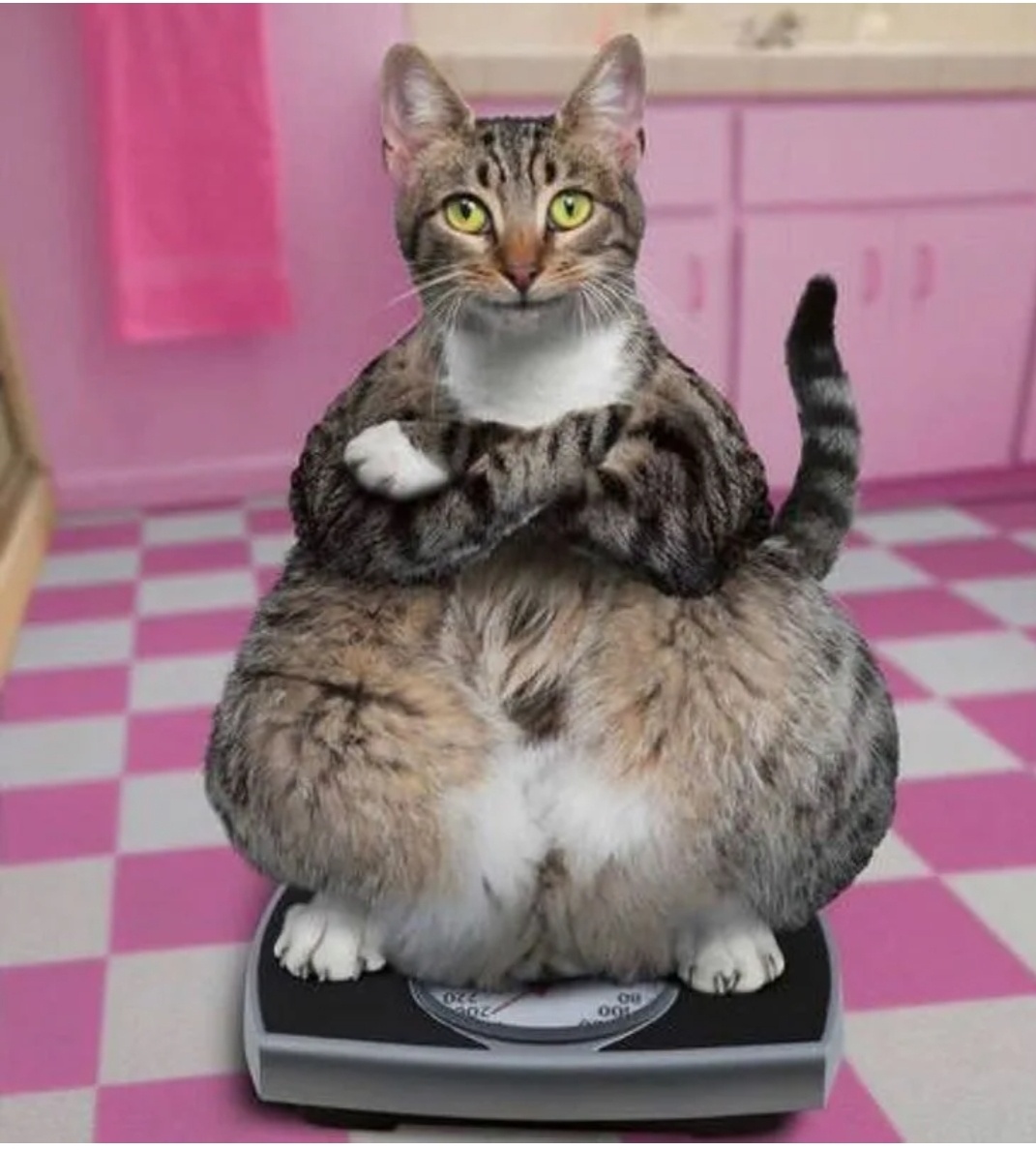 Из свободного источника 