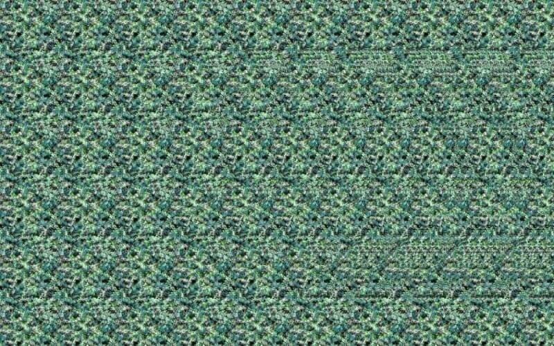 Яндекс поиск 