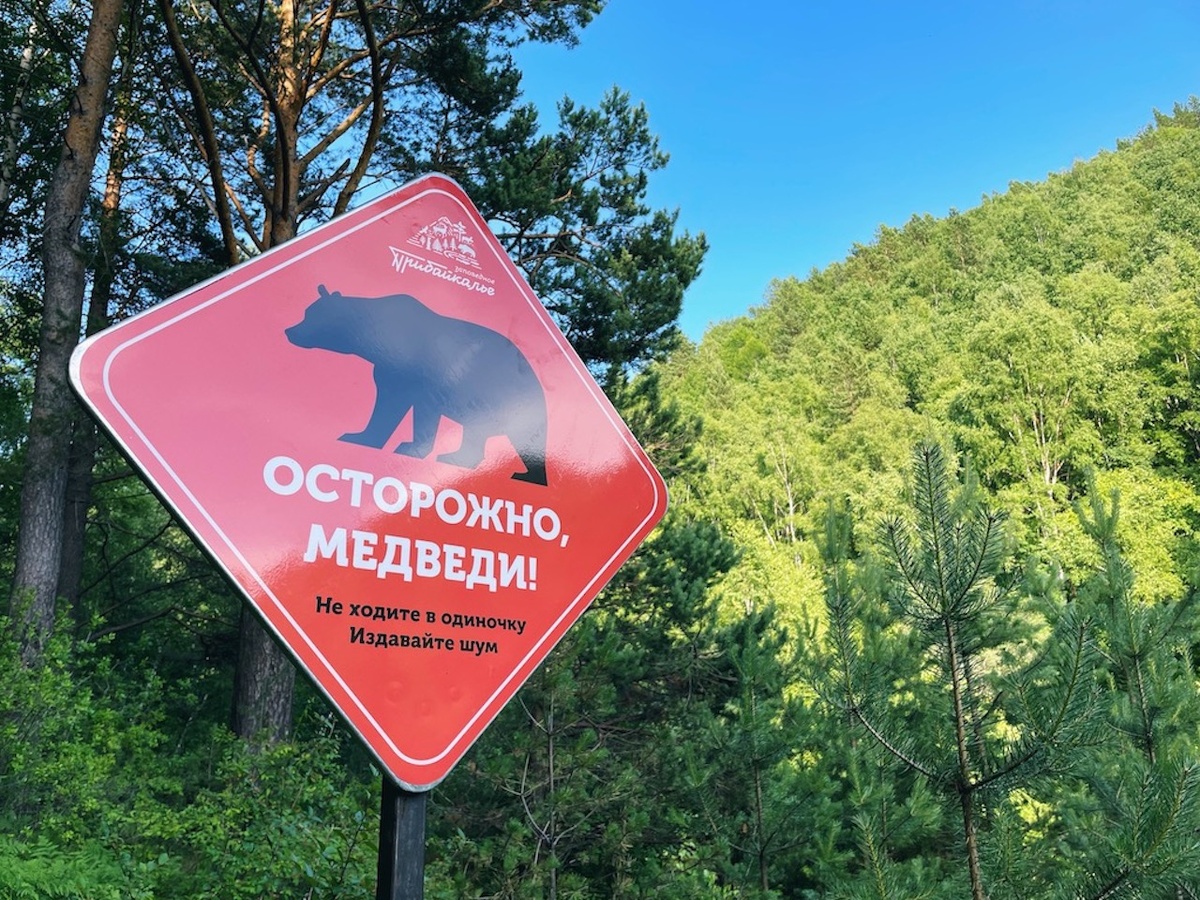 © Фото: Первый Байкальский