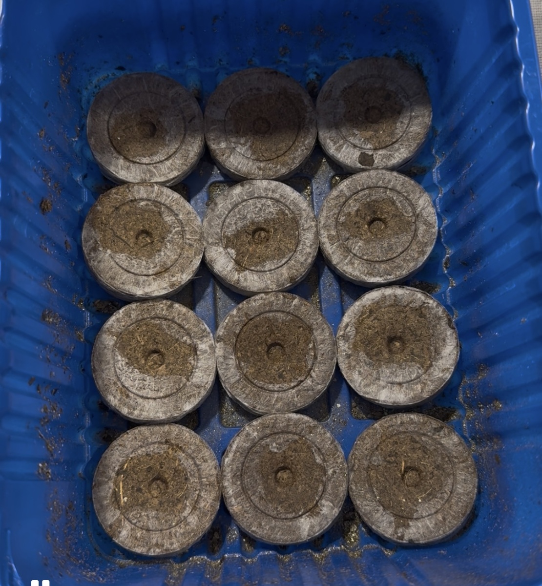 Торфяные таблетки Jiffy