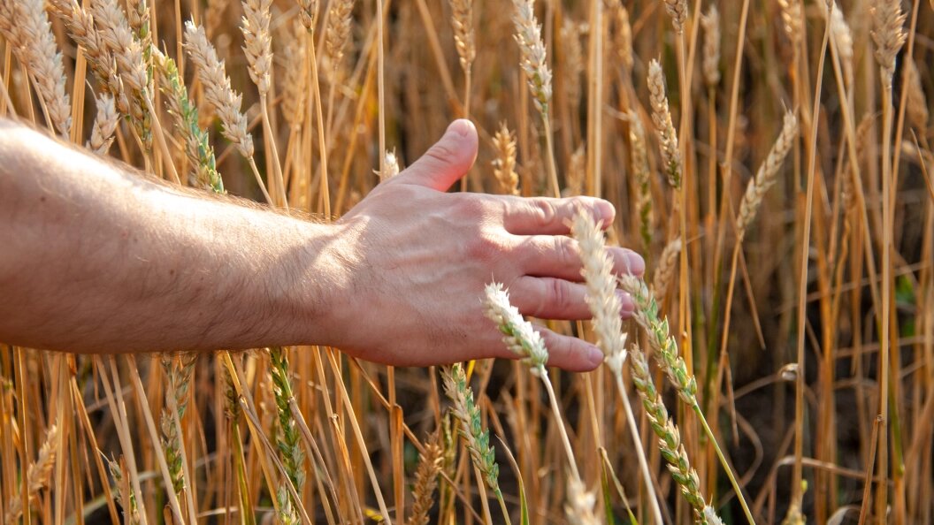    Svetlana Vozmilova/Globallookpress