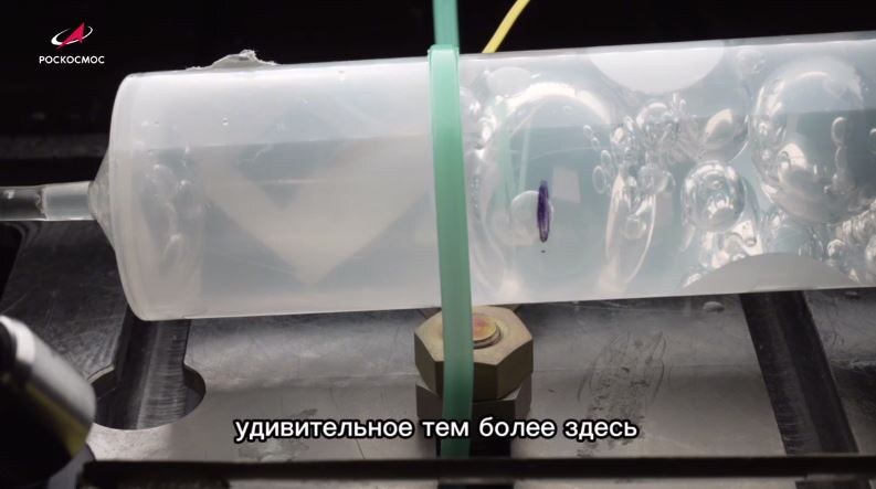     Космонавт из Красноярского края показал, как кипит вода в невесомости
