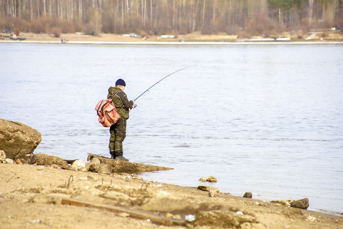В России ускорится рост зарплат в аграрном и рыбном секторах.  Фото: Фото: ФедералПресс / Елена Майорова