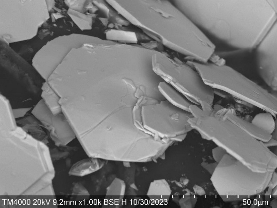     Нанопластины нового материала: в его составе молибден, сера и селен. Фотография сделана с помощью сканирующего электронного микроскопа