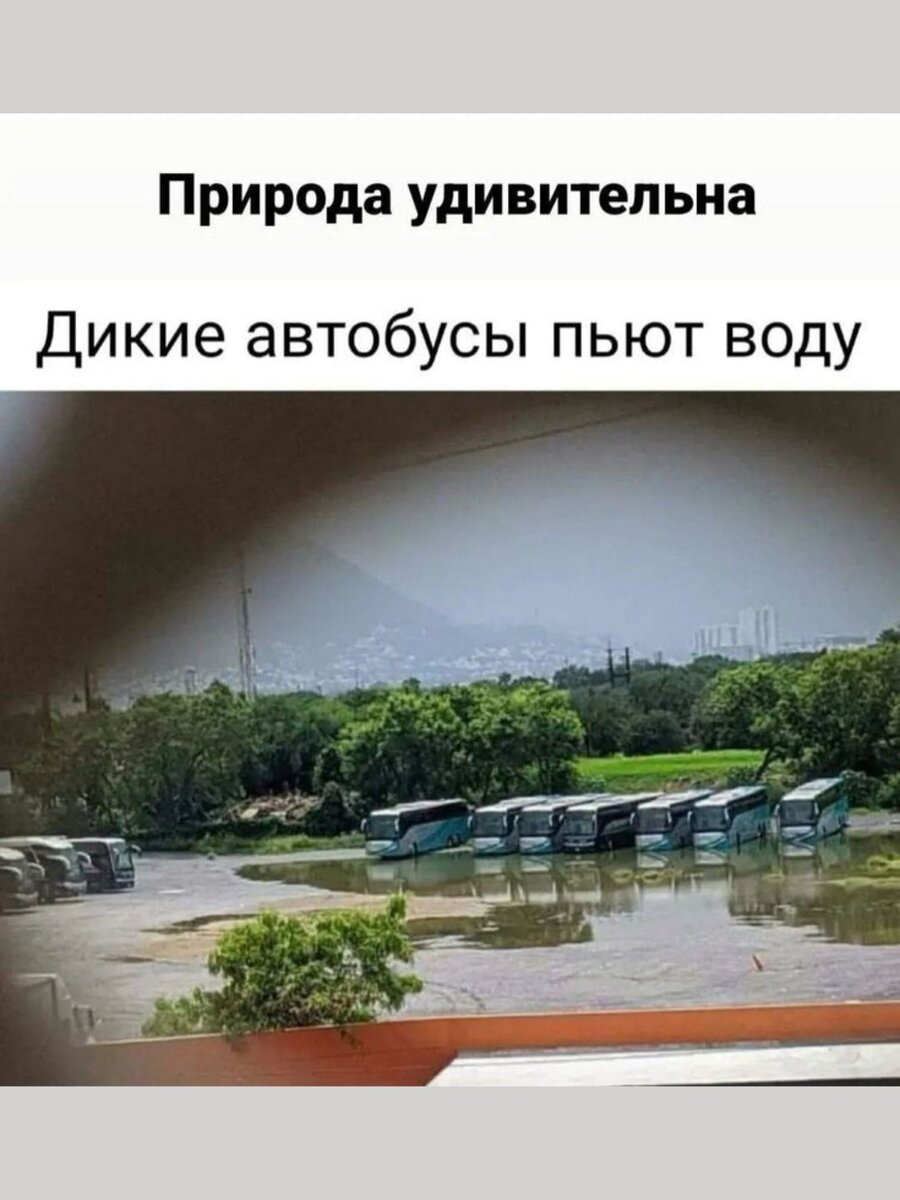 -11