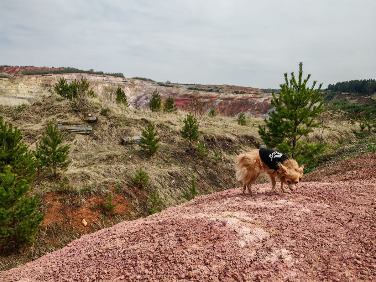Хэппи пробирается к озеру 
