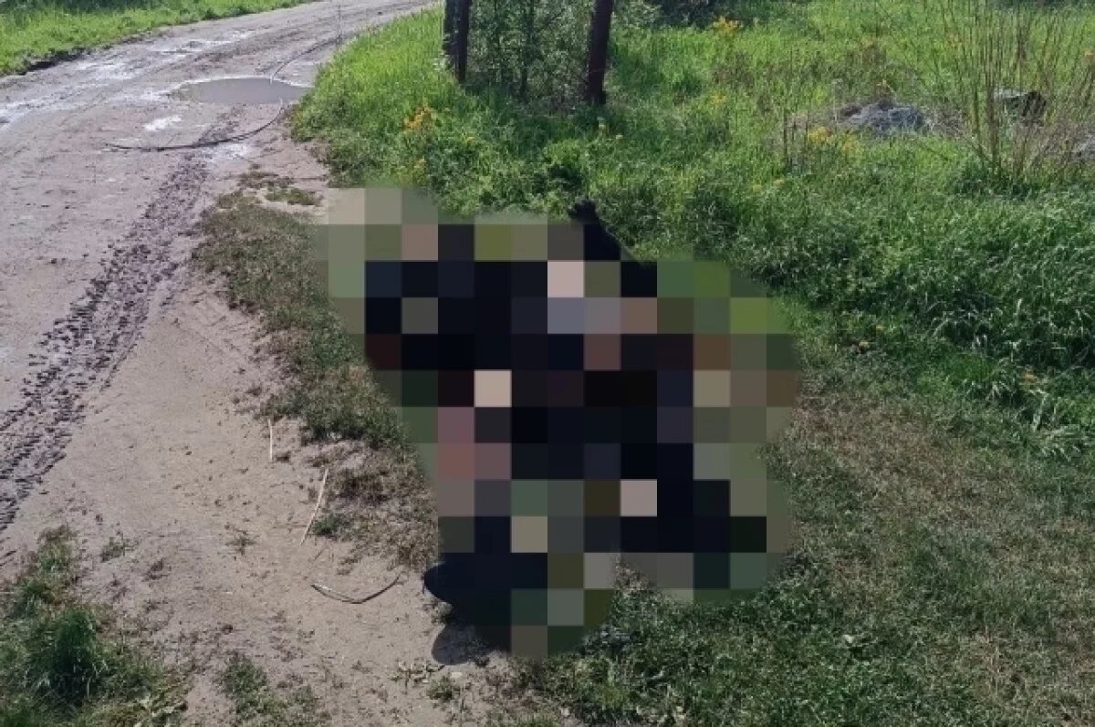    В Удмуртии мужчина задел удочкой линию ЛЭП и погиб