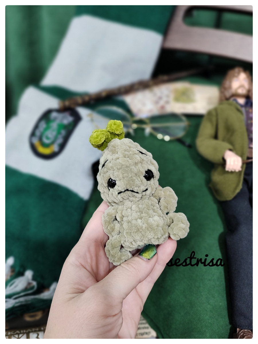 Мандрагора по МК Миранда Айвазян