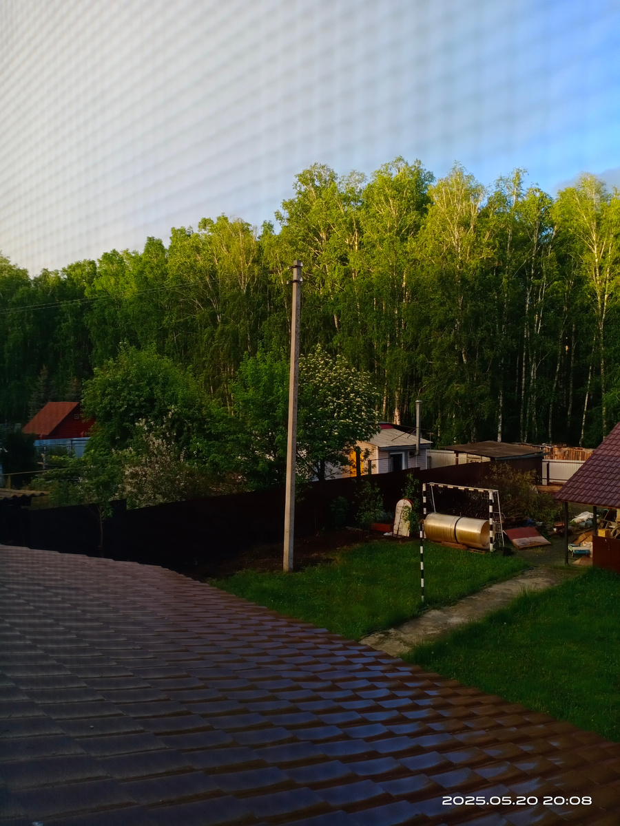 Вырезала вишневый сухостой вдоль забора