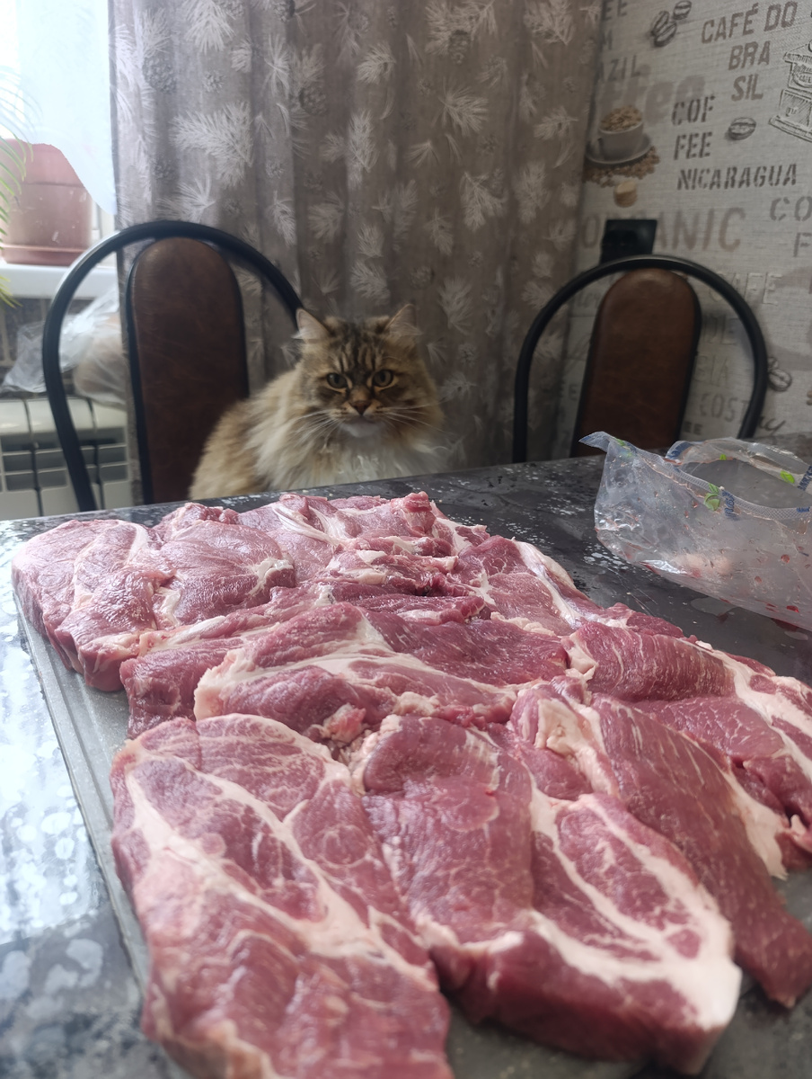 Шея на шашлык. Кот уже ждет.