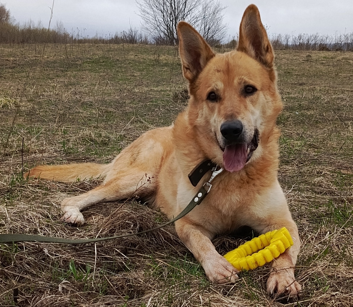 На прогулке золотой мальчик