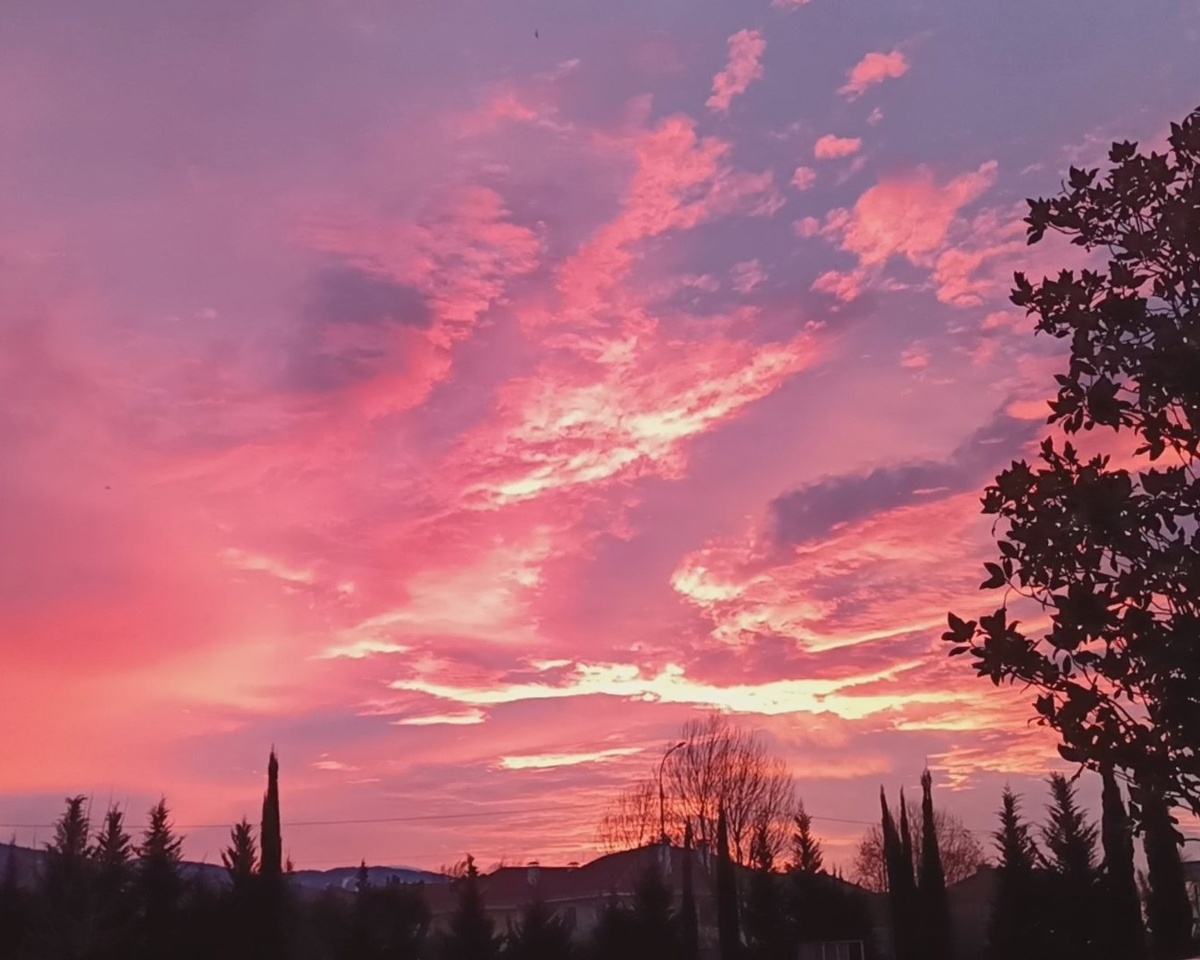 с. Веселое, ЖК "Летняя резиденция" Раннее утро