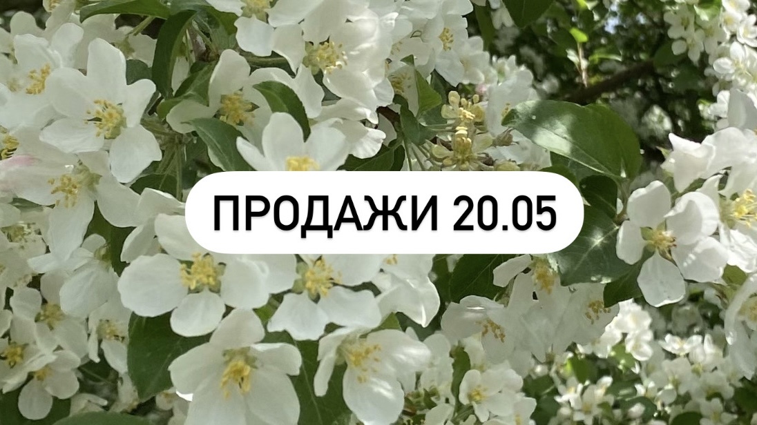 Моя фотография