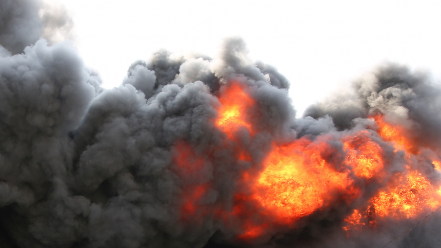    Фото: Виталий Тимкив/ТАСС; 5-tv.ru