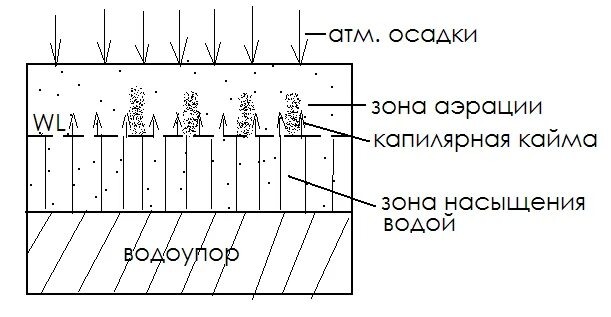 Атм. осадки - "фильтрационная вода", зона аэрации и капиллярная кайма - "грунтовая влага", зона насыщения водой - "подземная вода".