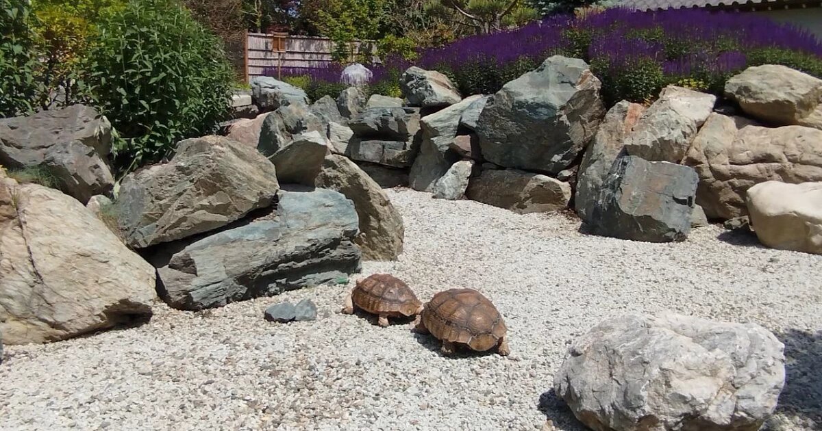 Фото: официальная страница городского парка «Краснодар»