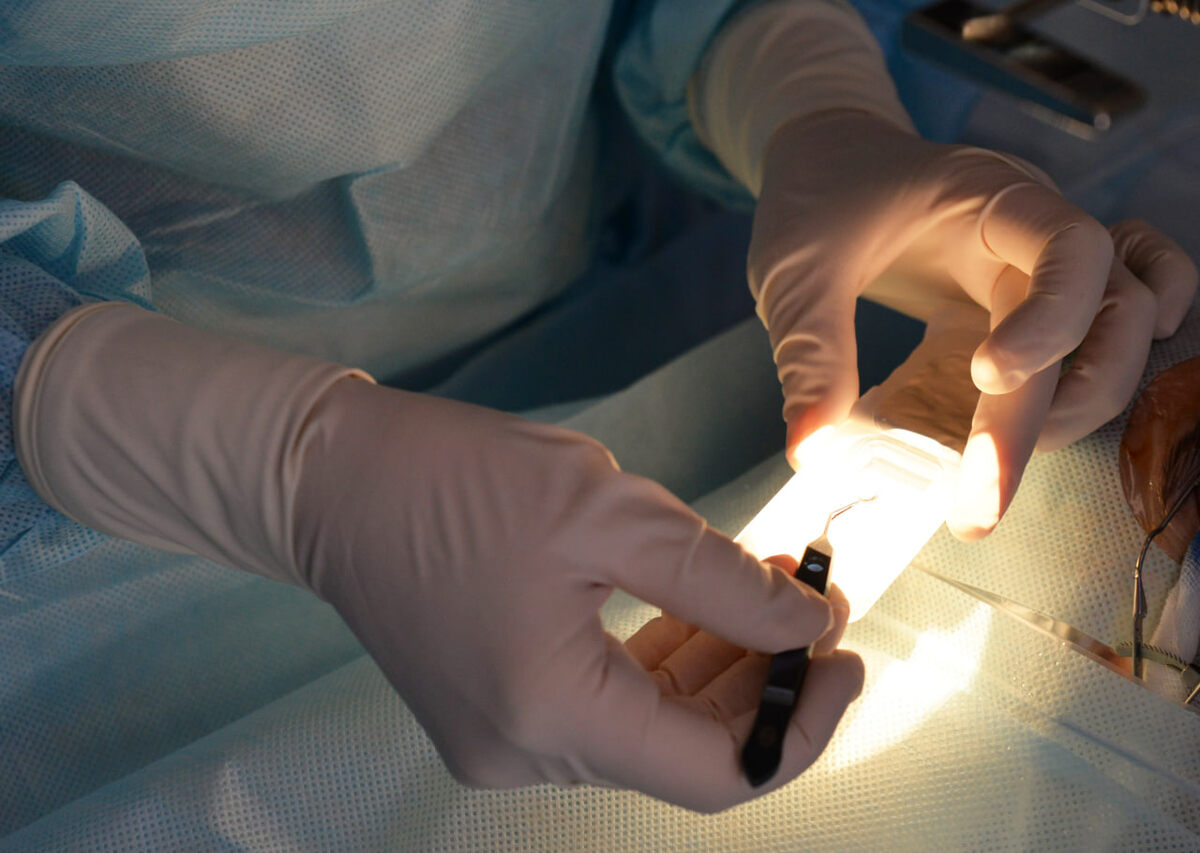     Оренбургский офтальмолог провёл вторую операцию мирового уровня Полина Кузаева
📷    Оренбургский офтальмолог провёл вторую операцию мирового уровня Полина Кузаева
