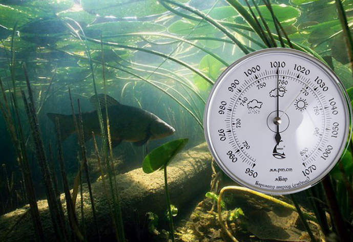 Барометр для измерения давления. Источник фото kakoe-normalnoe-davlenie-atmosfernoe-dlya-