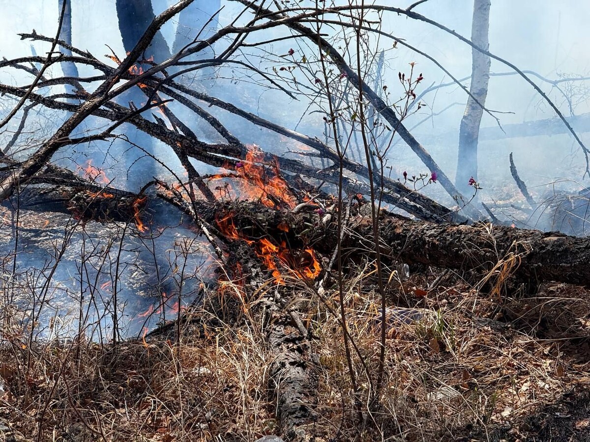    Фото: Пресс-служба правительства Забайкалья