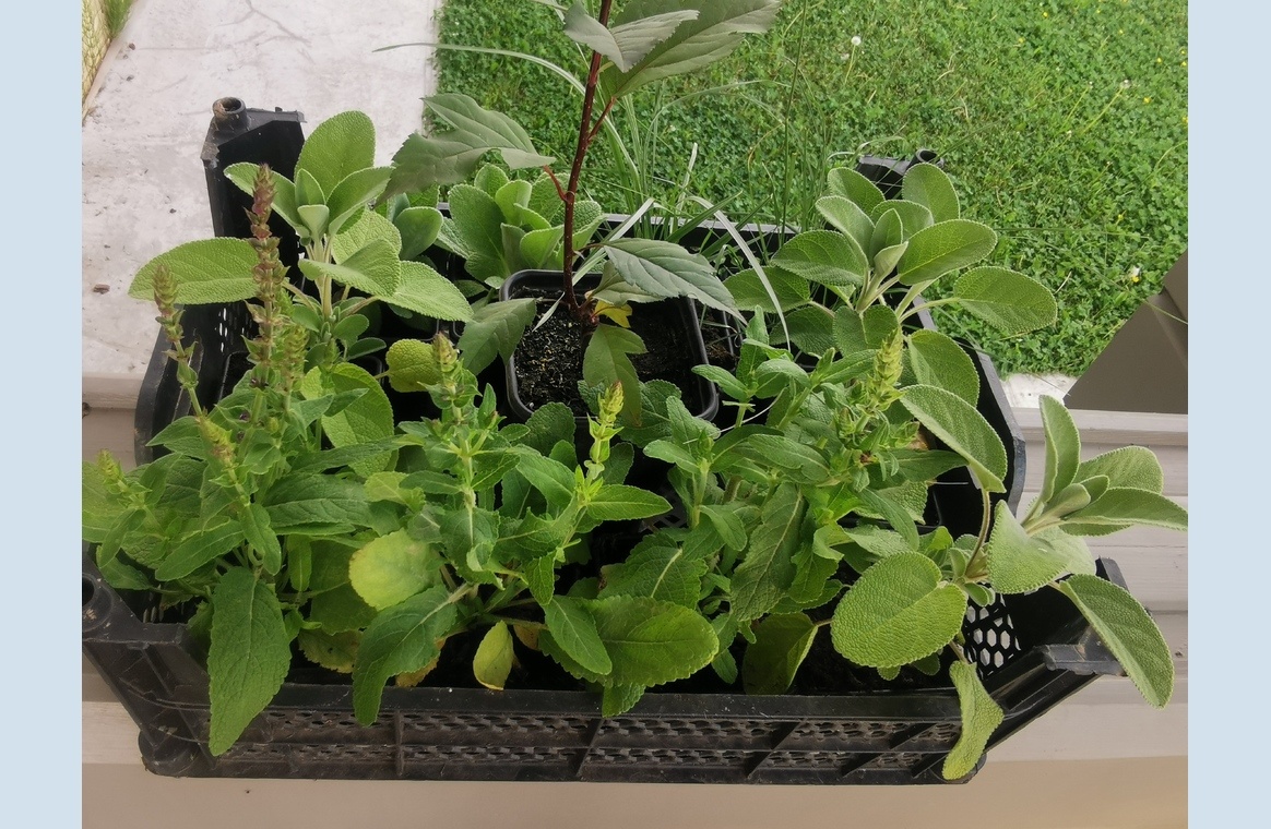 Приобретения 2024 г.