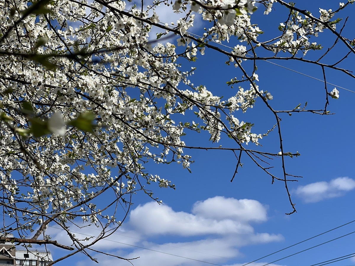 Лето - отличный повод обносить себя!