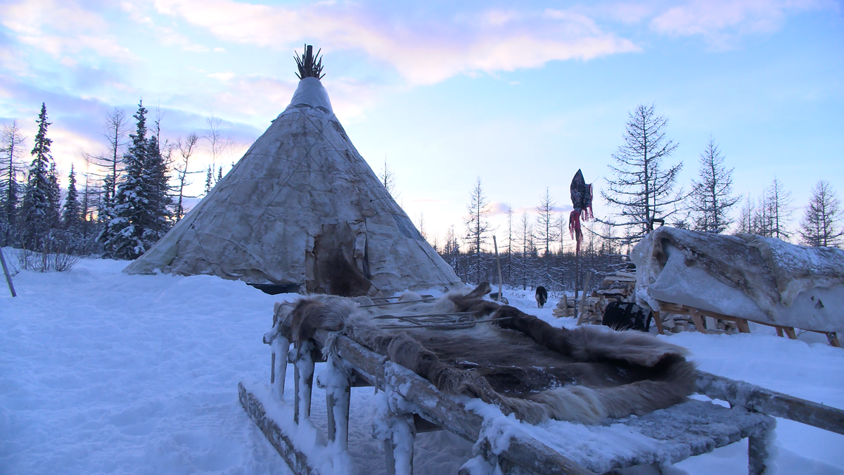 Дом, который дышит 