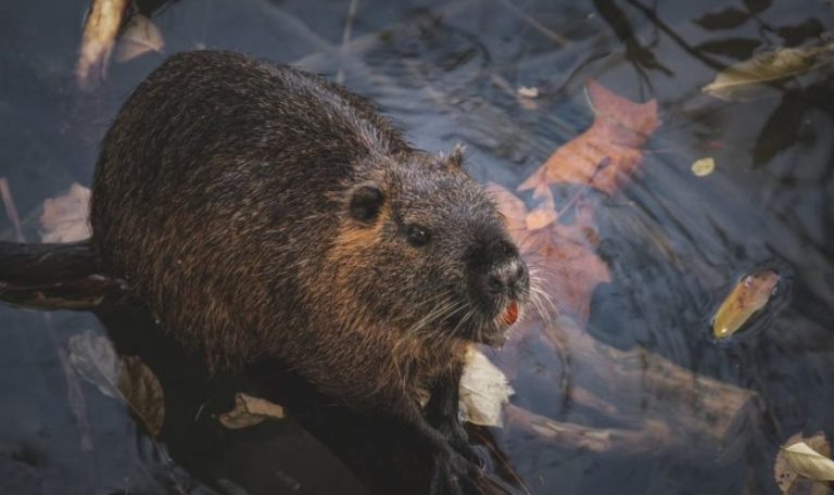    Фото: www.freepik.com Илья Федоров