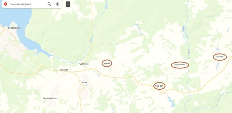 Бешенство распространяется по Чайковскому округу. Фото: Данил Постаногов