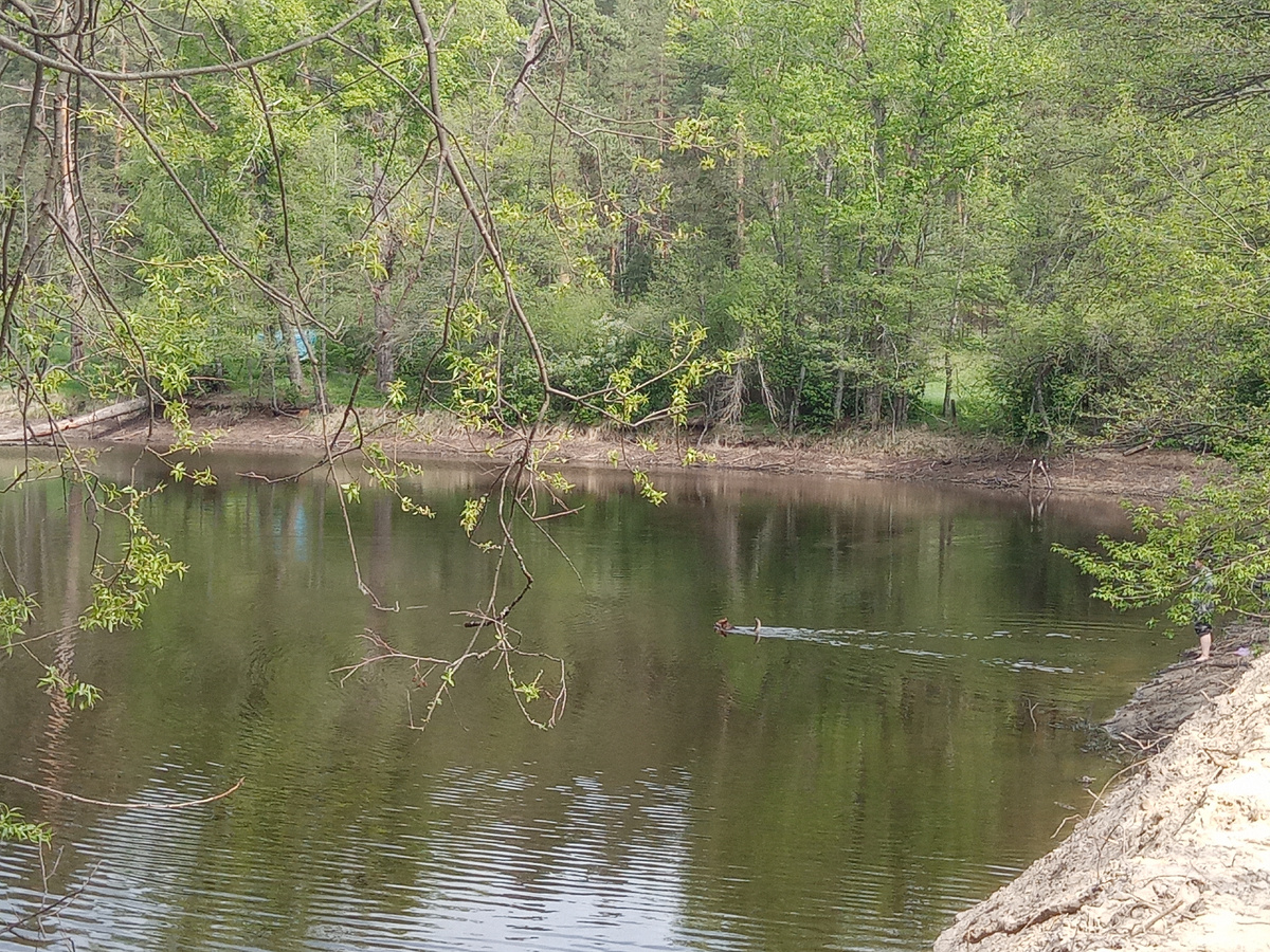 Вальхунда не упустила возможности провести испытание пруда.