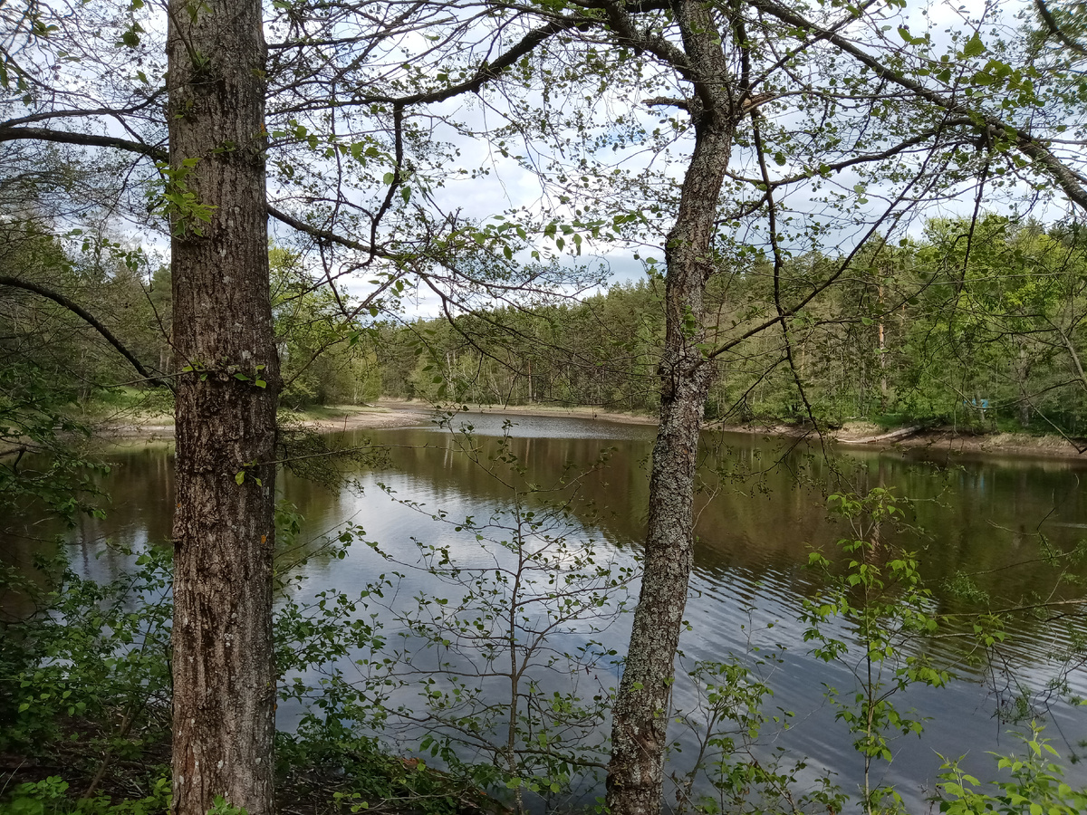 Вид с уцелевшей части плотины