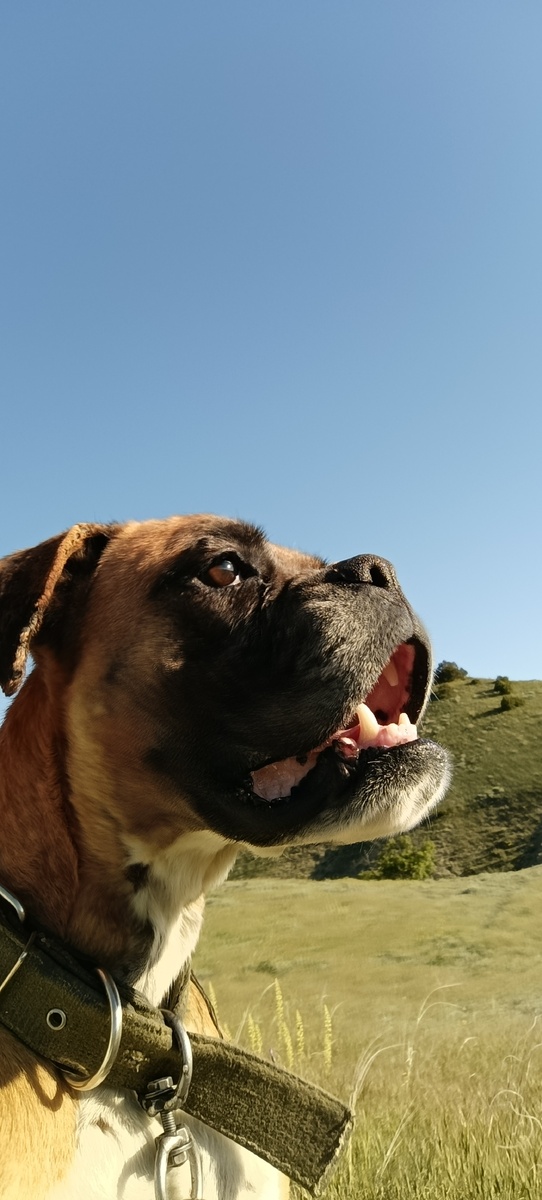 Открой ротик!