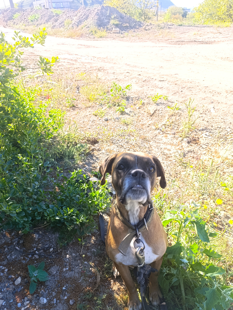 Сидим, ждём!