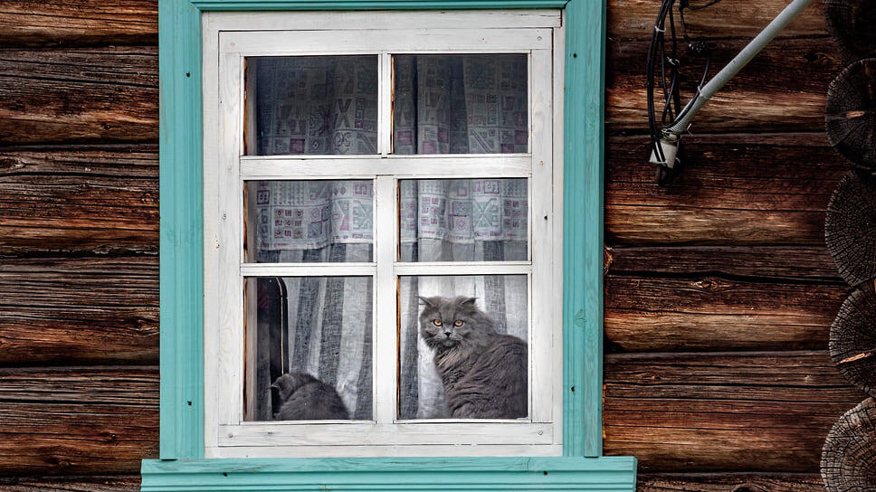 Фото: Константин Кокошкин / Коммерсантъ