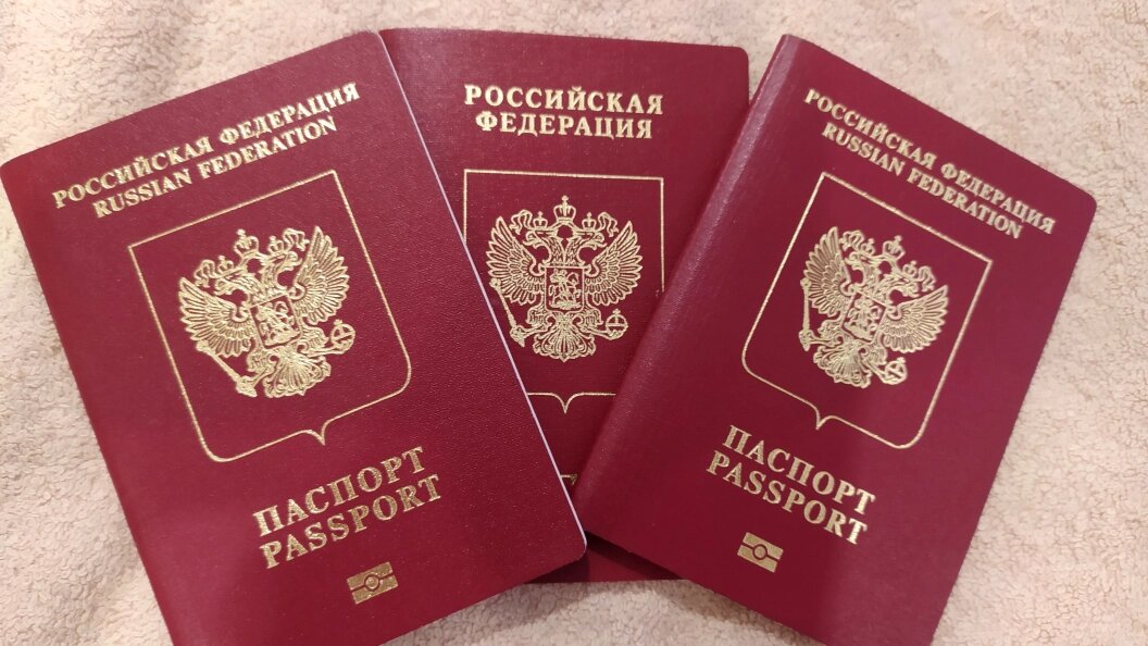    Фото: Maksim Konstantinov /Globallookpress