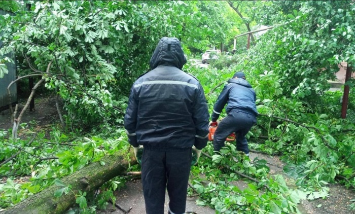    администрация Краснодара